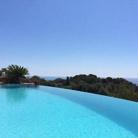 Le Clos Des Iles Vallauris Buitenkant foto